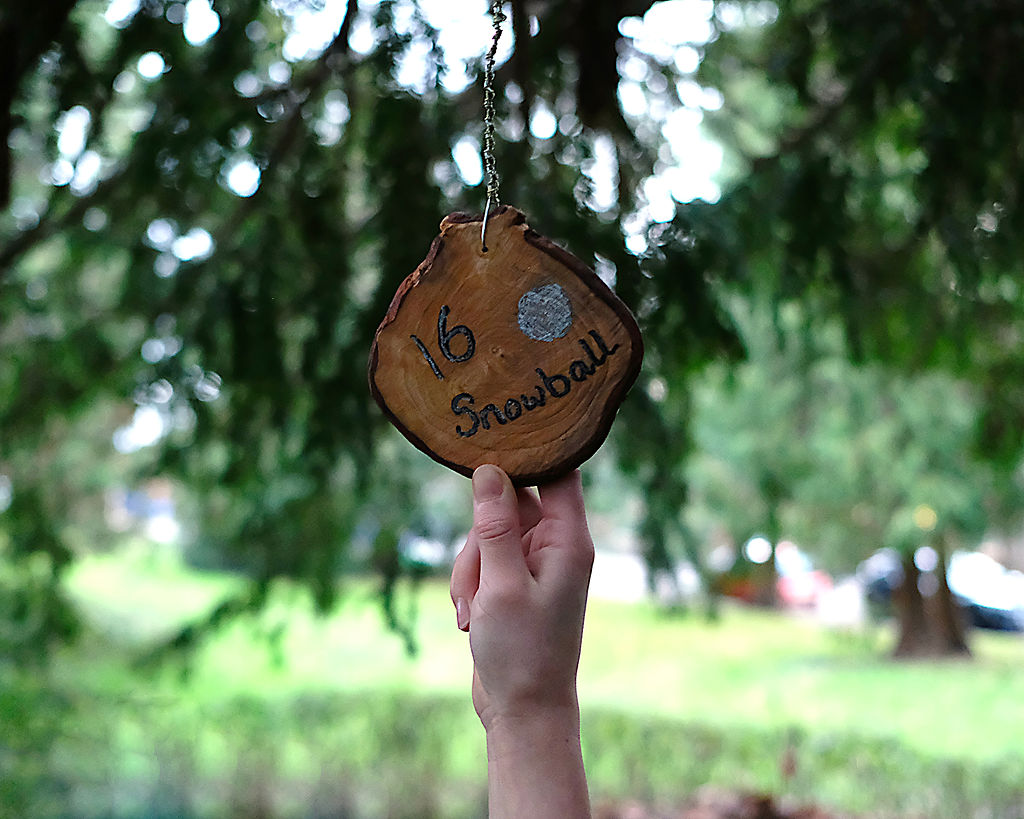 16 - Snowball (Twinkle Trail)