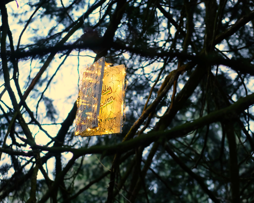 Christmas card (Twinkle Trail)