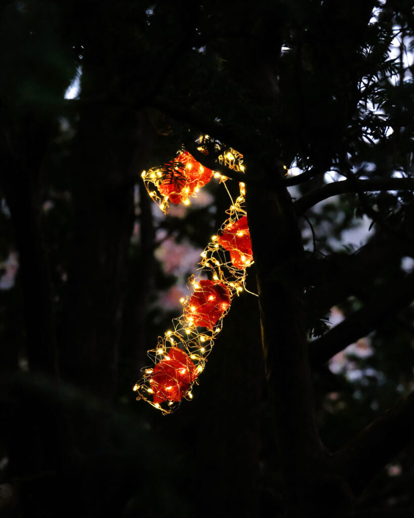 Candy Cane Light (Twinkle Trail)