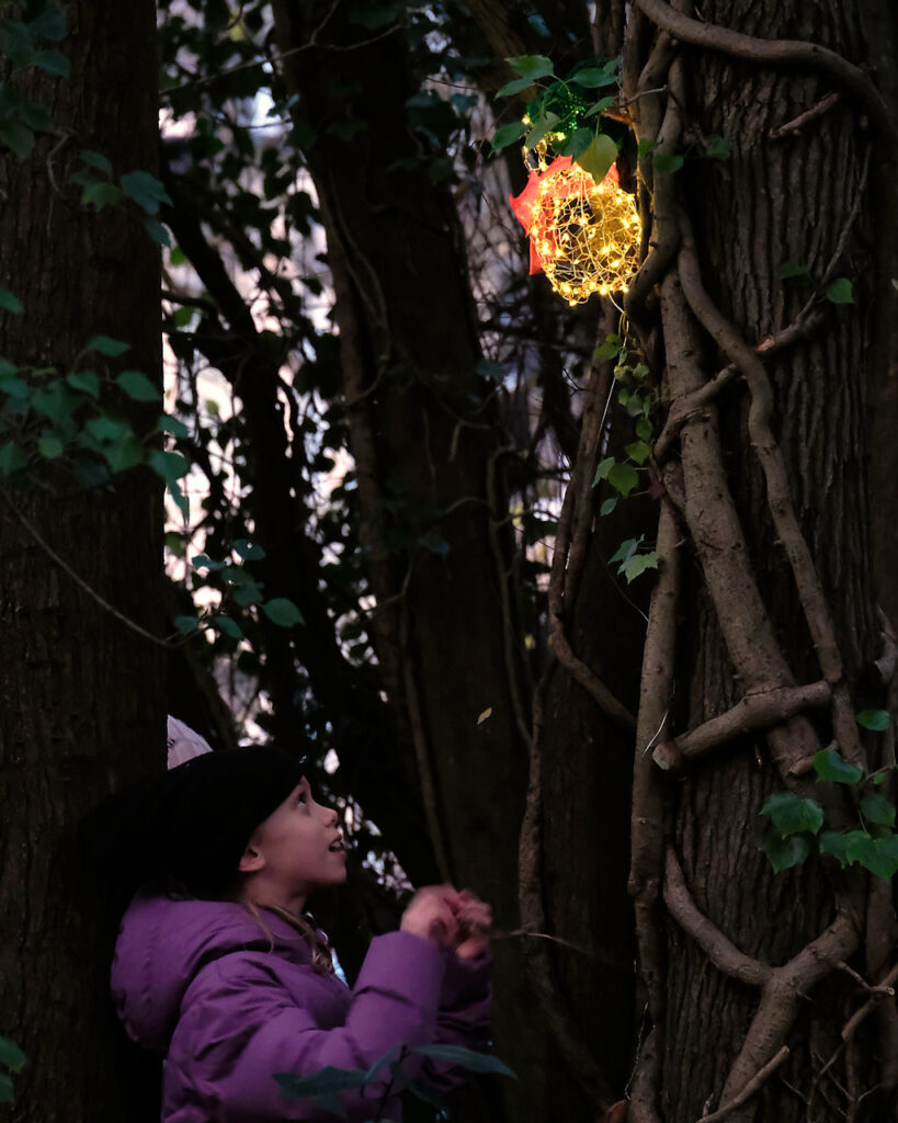 B looking at light (Twinkle Trail)