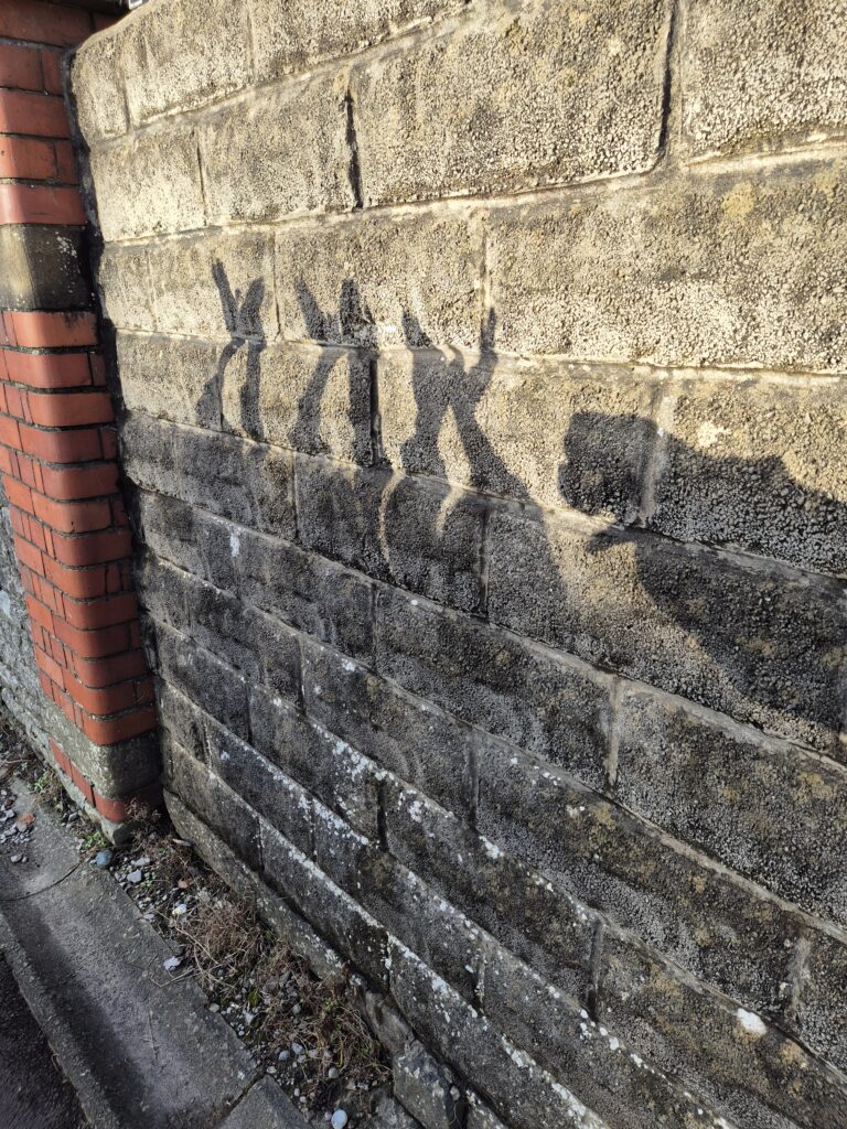 Handshadows on a school yard wall