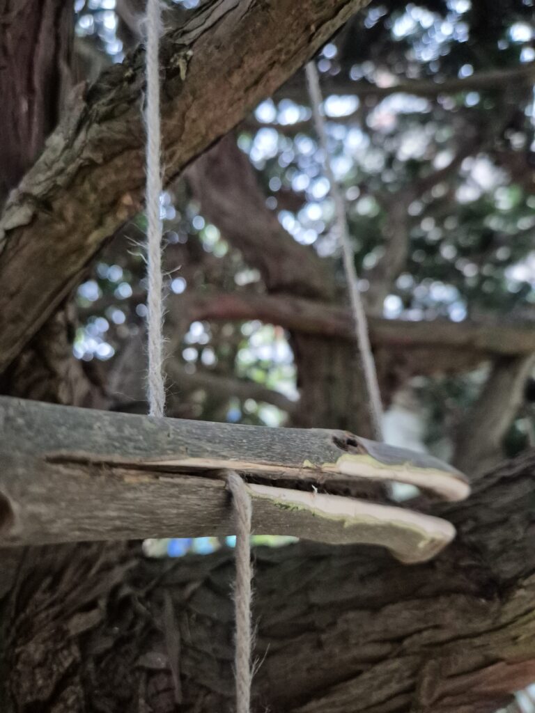 Stick holding rope