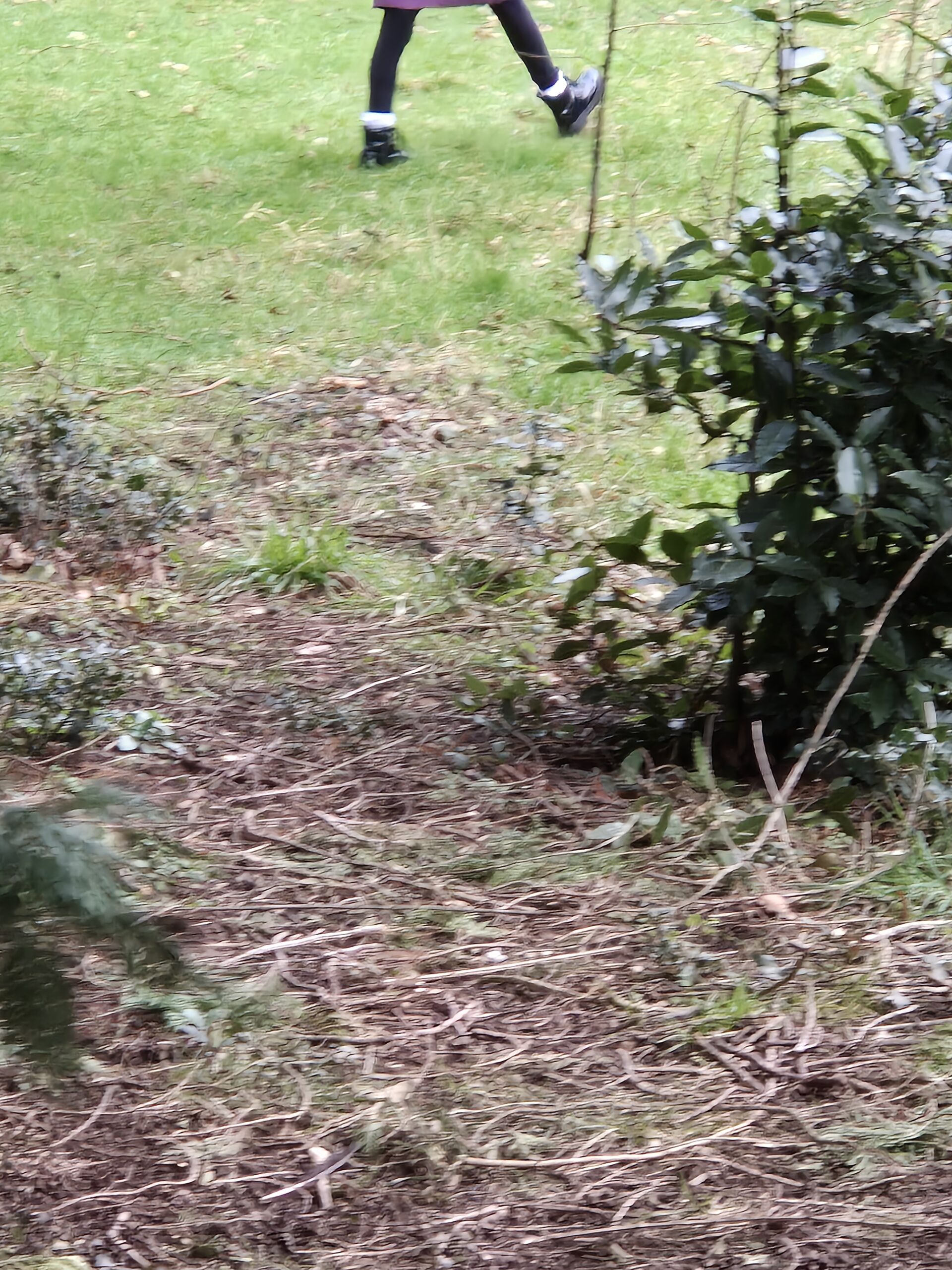 B's feet walking over the grass ahead
