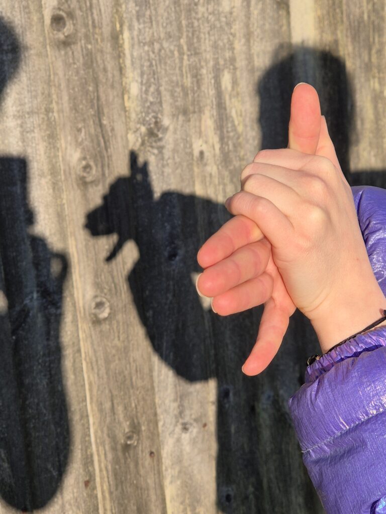 B making a dog hand shadow puppet