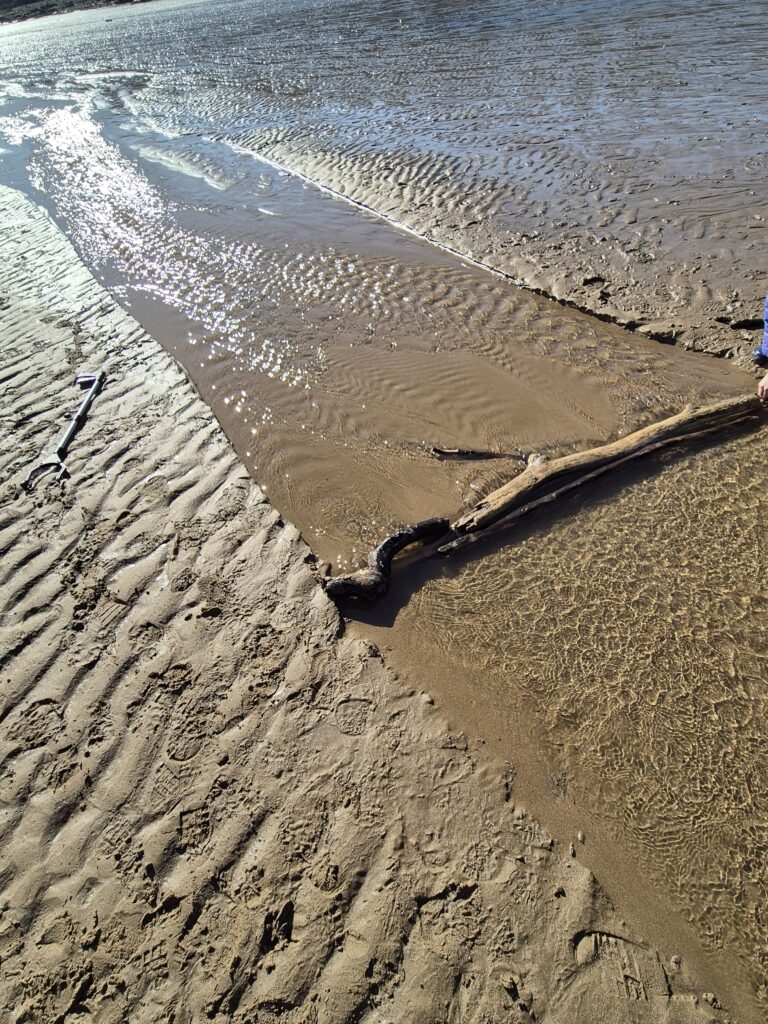 A big stick damming a little stream on a beach