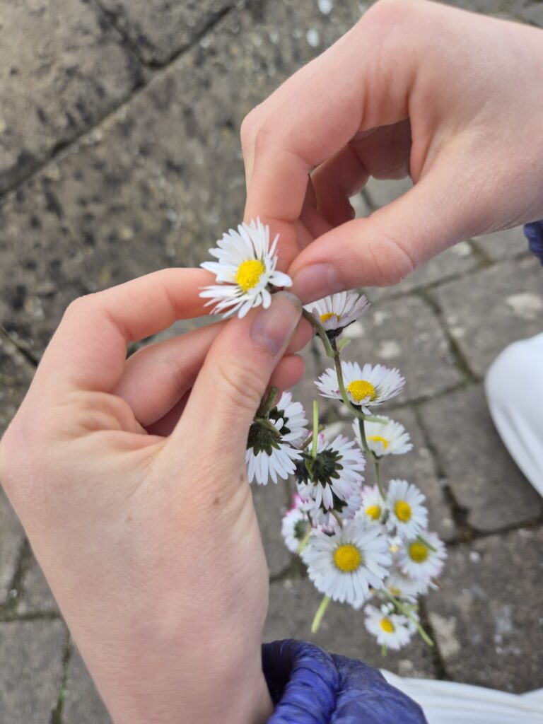 B making a daisy chain