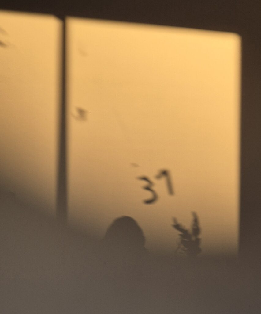 Shadow picture 37