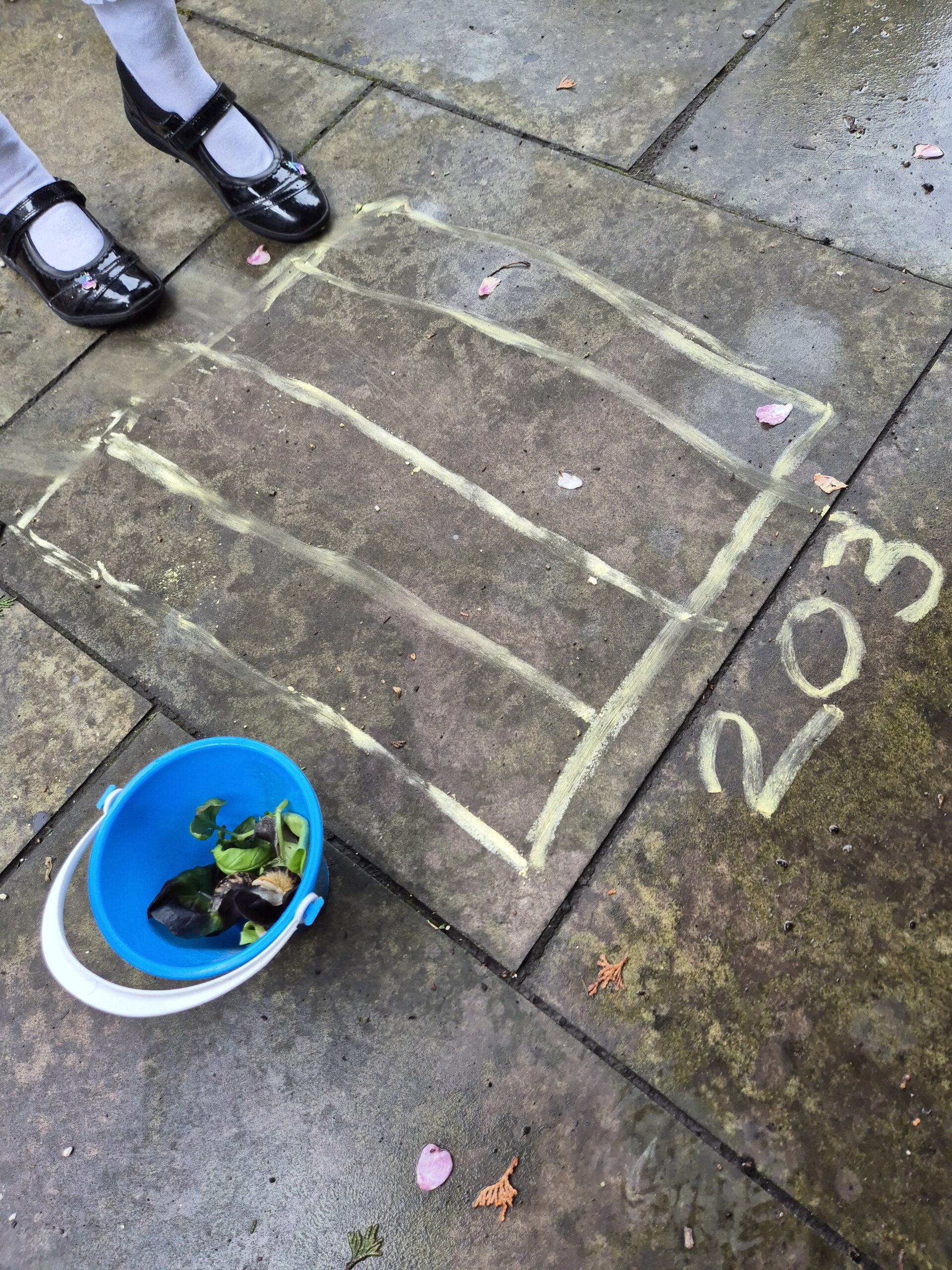 How to get kids interacting with insects