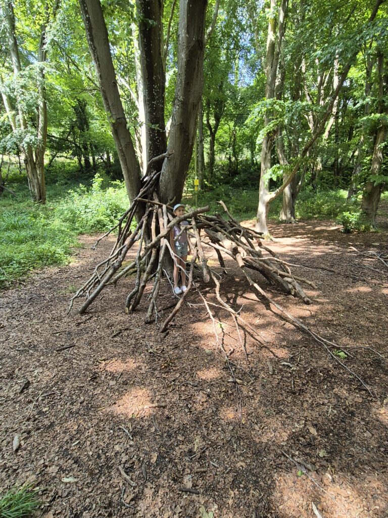 A den in the woods