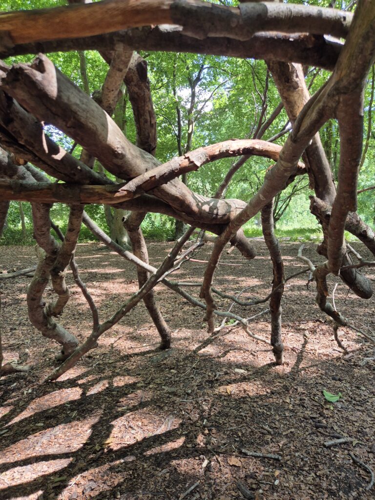 The view from inside a stick den