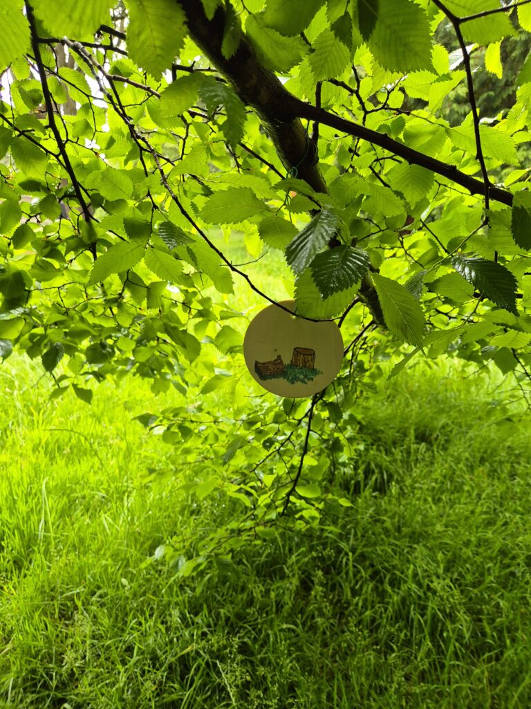 Round treasure hunt tag hanging from tree