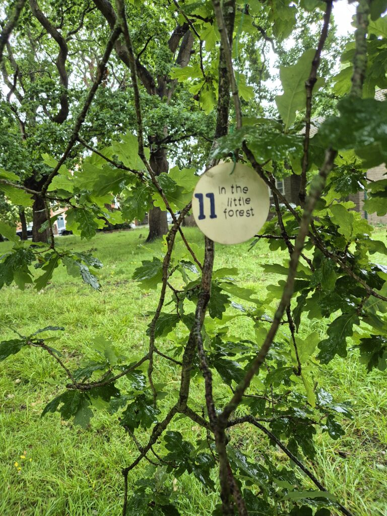 Clue 11 hanging from tree