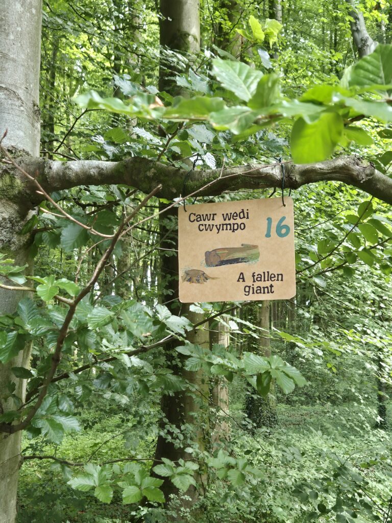 Sign 16, A fallen giant