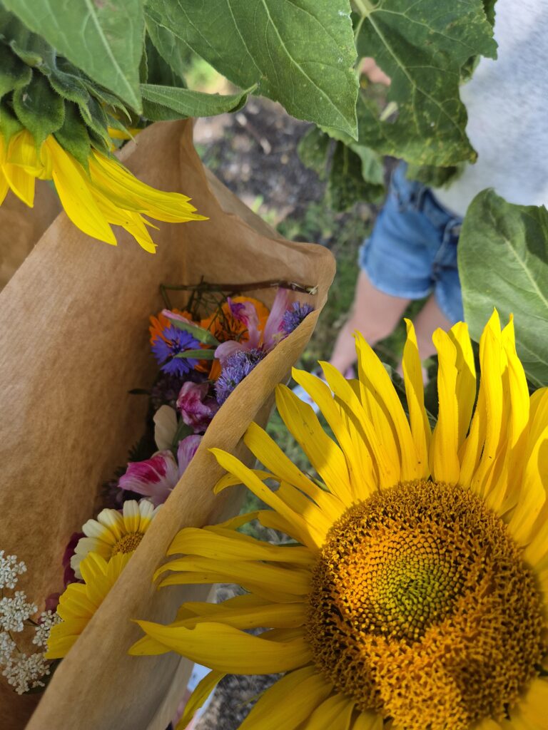 Sunflowers and wild flowers