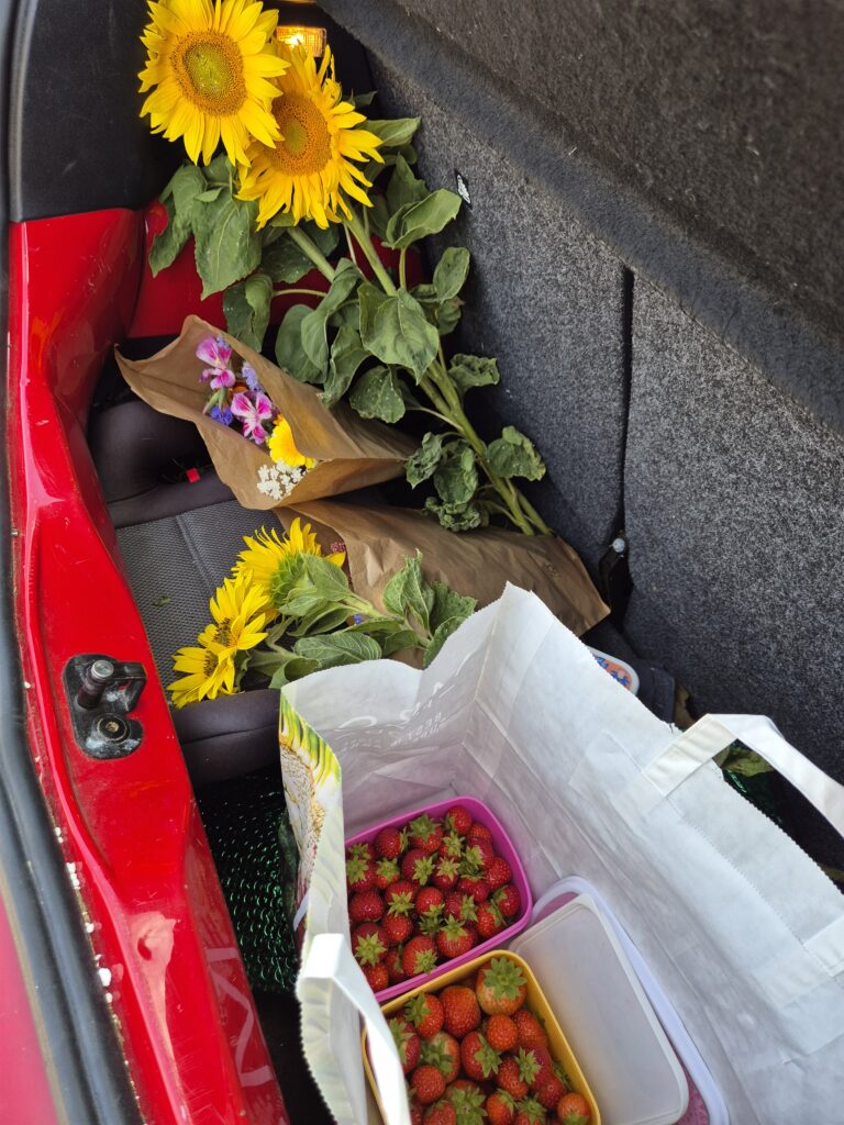 Sunflowers and strawberries in the boot of the car