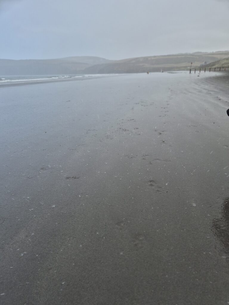 A storm on the beach