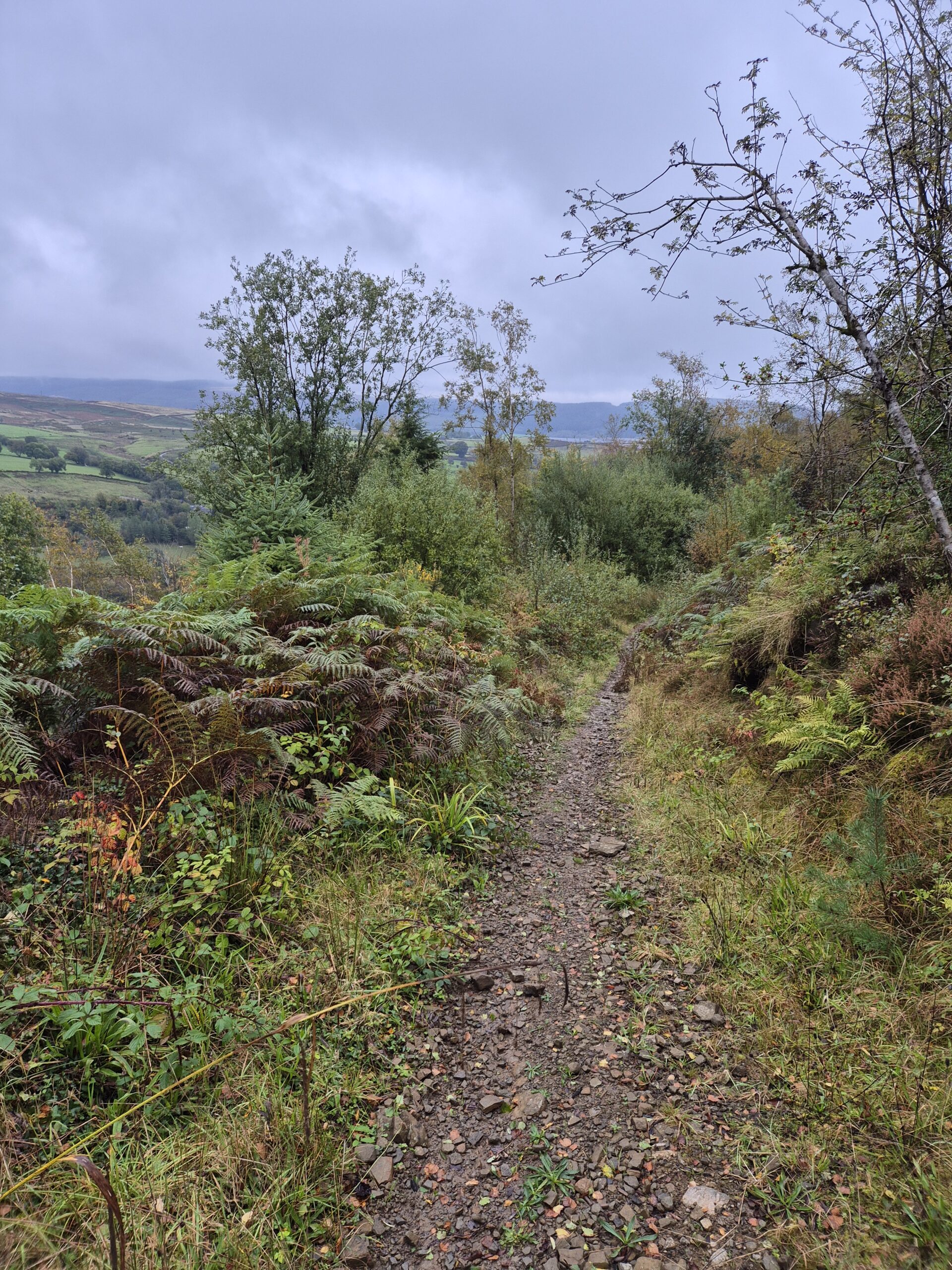A country path