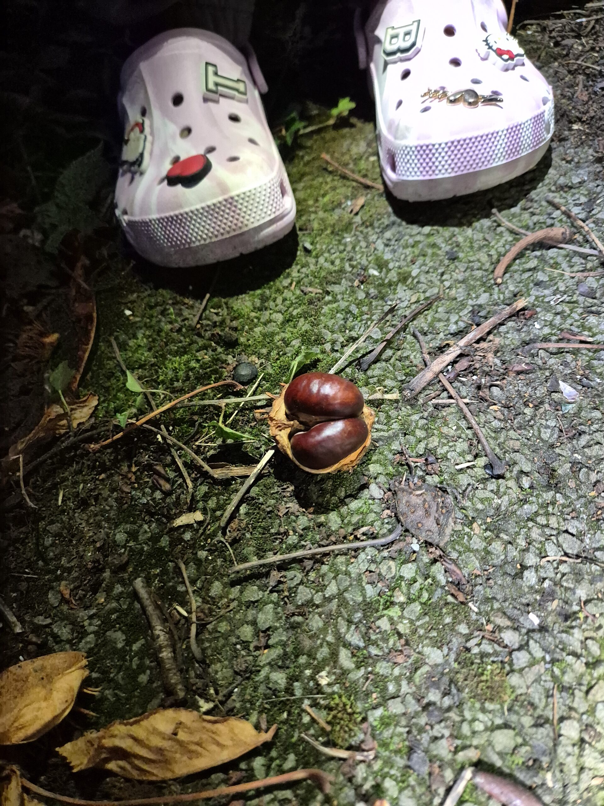 Playing out after school with kids in Autumn