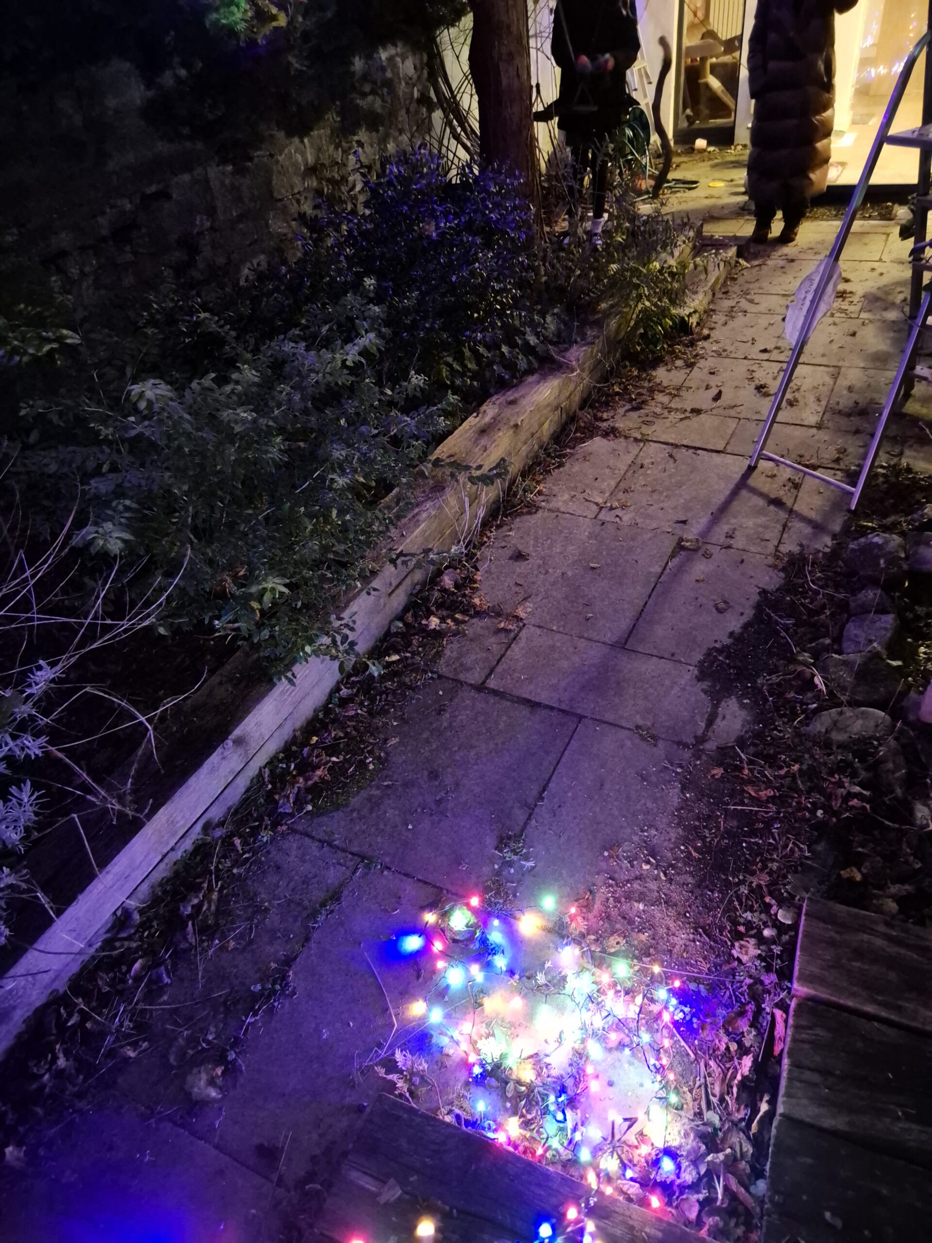 Christmas lights on ground in garden