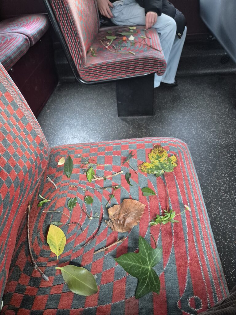 Leaves and flowers on a London bus seat