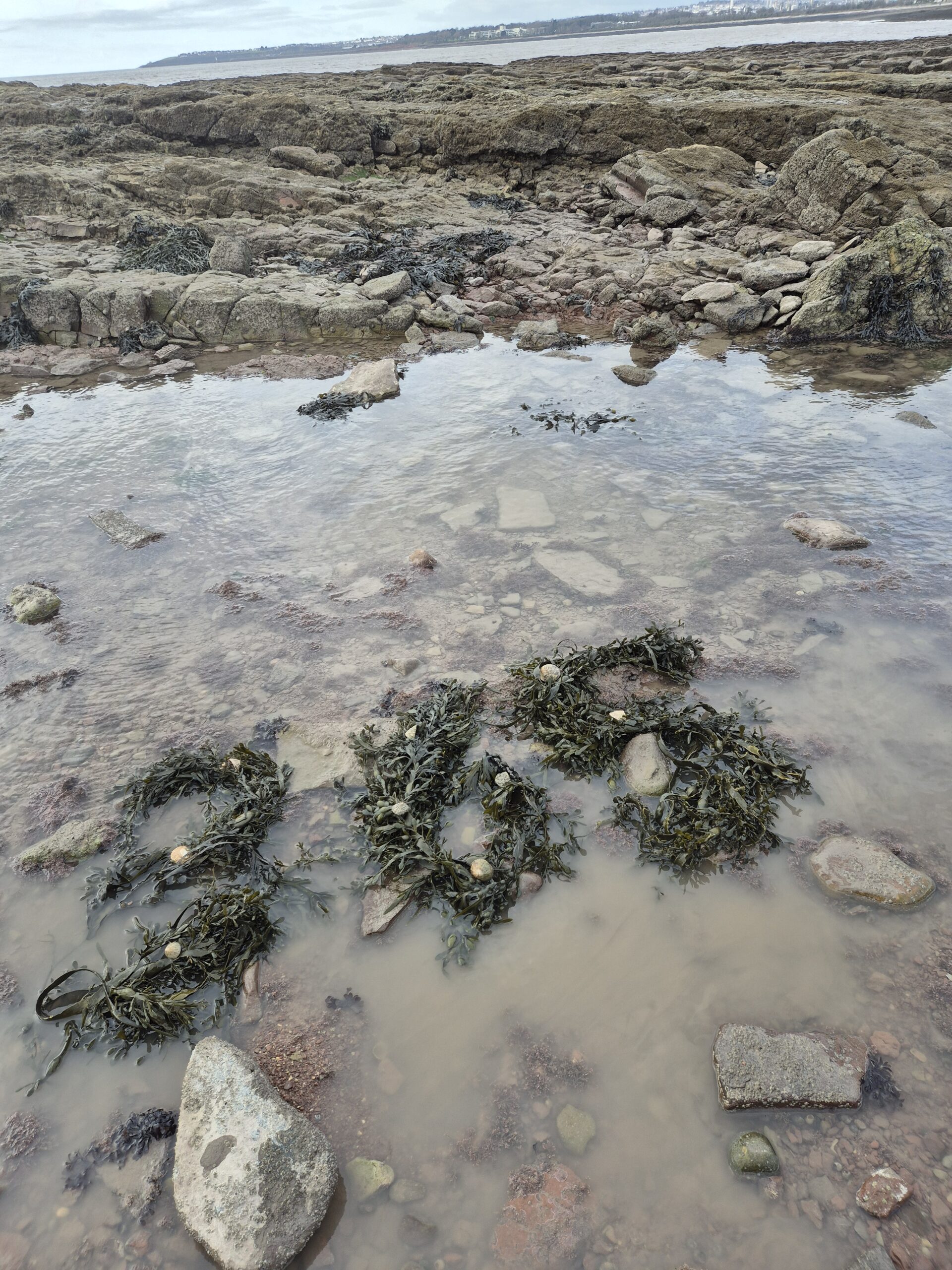 What do you do the day after you finish a 365 day nature play challenge?