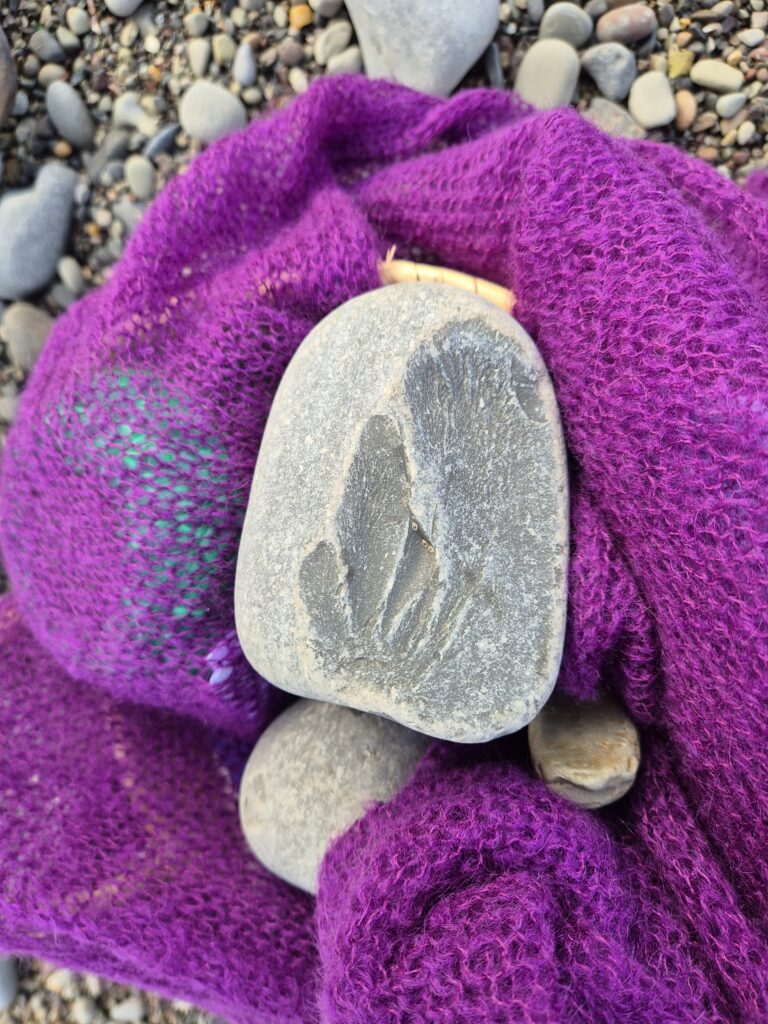 A fossil on a purple scarf.