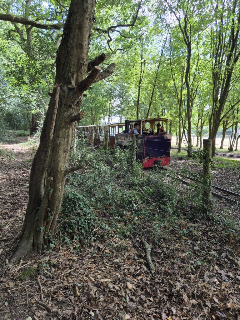 Train at Perrygrove railway
