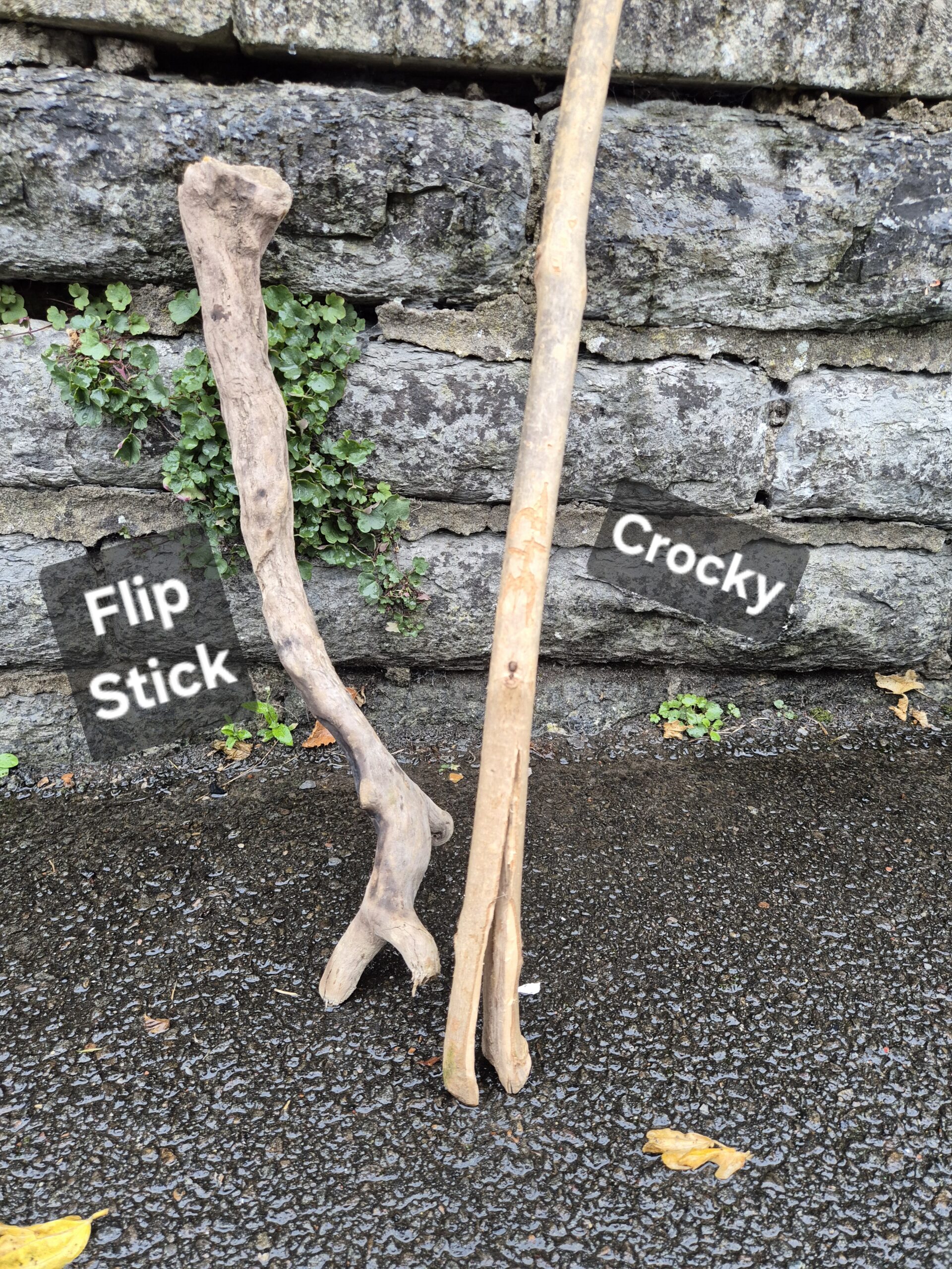 Crocky and Flip Stick